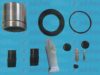 AUTOFREN SEINSA D41786C Repair Kit, brake caliper